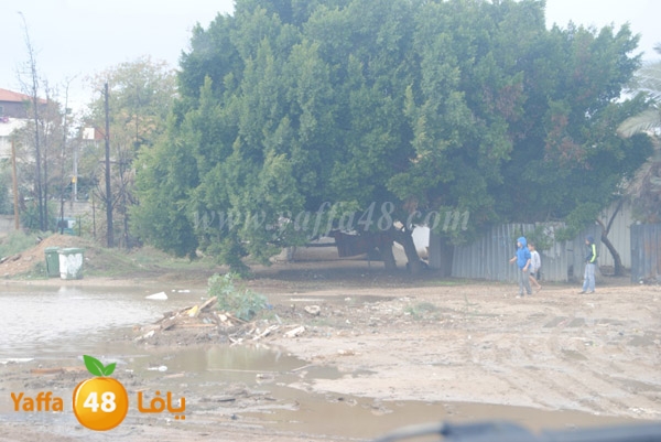 ramla jan 7ekal3 (4).JPG